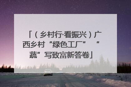 （乡村行·看振兴）广西乡村“绿色工厂” “蔬”写致富新答卷