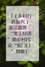 （乡村行·看振兴）浙江嘉善：“零工经济”助乡村民众“家门口”增收
