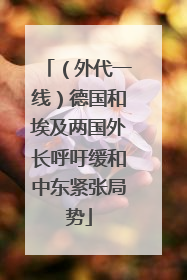 （外代一线）德国和埃及两国外长呼吁缓和中东紧张局势