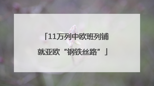 11万列中欧班列铺就亚欧“钢铁丝路”