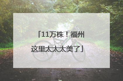 11万株！福州这里太太太美了