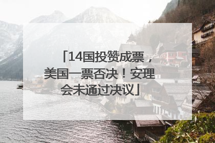 14国投赞成票，美国一票否决！安理会未通过决议
