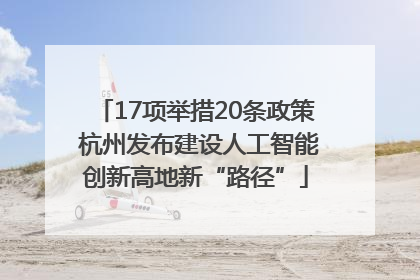 17项举措20条政策 杭州发布建设人工智能创新高地新“路径”