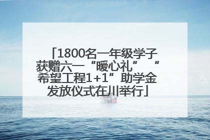 1800名一年级学子获赠六一“暖心礼” “希望工程1+1”助学金发放仪式在川举行