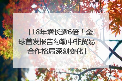 18年增长逾6倍！全球首发报告勾勒中非贸易合作格局深刻变化