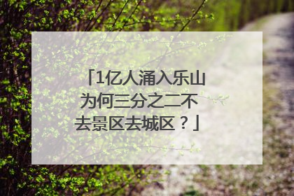 1亿人涌入乐山 为何三分之二不去景区去城区？