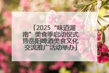 2025“味道湖南”美食季启动仪式暨岳阳啤酒美食文化交流推广活动举办