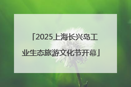2025上海长兴岛工业生态旅游文化节开幕