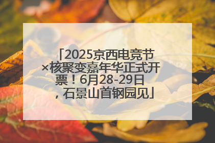 2025京西电竞节×核聚变嘉年华正式开票！6月28-29日，石景山首钢园见