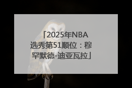 2025年NBA选秀第51顺位：穆罕默德-迪亚瓦拉