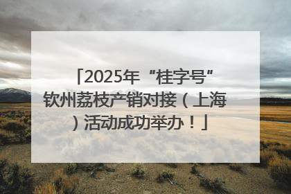 2025年“桂字号”钦州荔枝产销对接（上海）活动成功举办！