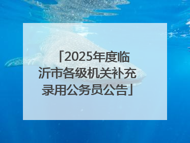 2025年度临沂市各级机关补充录用公务员公告