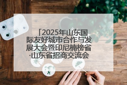 2025年山东国际友好城市合作与发展大会暨印尼楠榜省·山东省招商交流会在济南槐荫举行