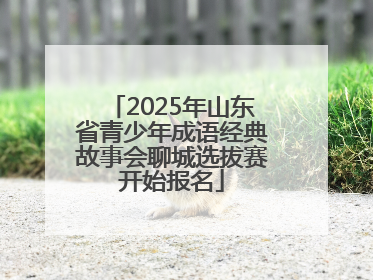 2025年山东省青少年成语经典故事会聊城选拔赛开始报名