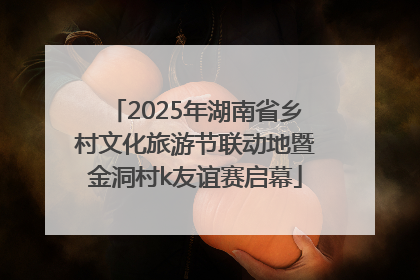 2025年湖南省乡村文化旅游节联动地暨金洞村k友谊赛启幕