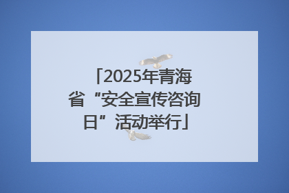 2025年青海省“安全宣传咨询日”活动举行