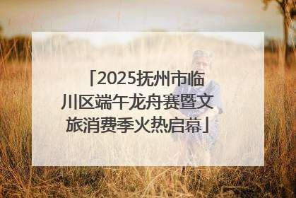 2025抚州市临川区端午龙舟赛暨文旅消费季火热启幕