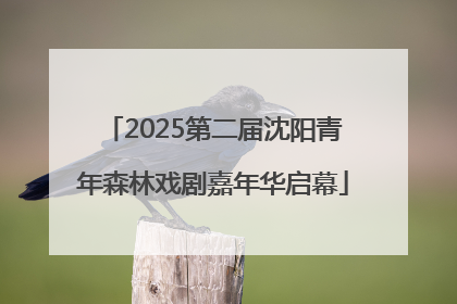 2025第二届沈阳青年森林戏剧嘉年华启幕