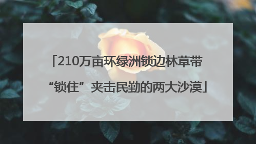 210万亩环绿洲锁边林草带“锁住”夹击民勤的两大沙漠
