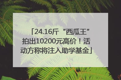 24.16斤“西瓜王”拍出10200元高价！活动方称将注入助学基金