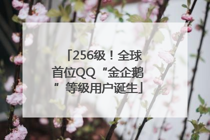 256级！全球首位QQ“金企鹅”等级用户诞生