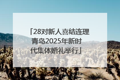 28对新人喜结连理 青岛2025年新时代集体婚礼举行