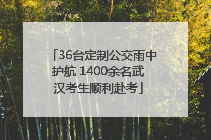 36台定制公交雨中护航 1400余名武汉考生顺利赴考
