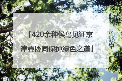 420余种候鸟见证京津冀协同保护绿色之道