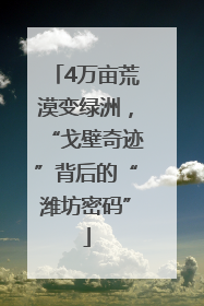 4万亩荒漠变绿洲，“戈壁奇迹”背后的“潍坊密码”