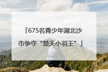 675名青少年湖北沙市争夺“楚天小羽王”