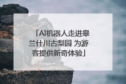 AI机器人走进皋兰什川古梨园 为游客提供新奇体验