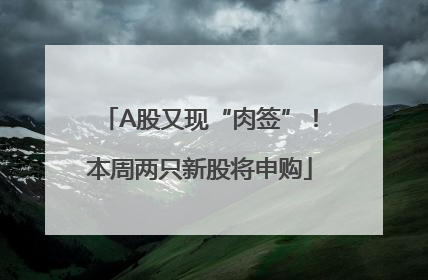 A股又现“肉签”！本周两只新股将申购