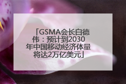 GSMA会长白德伟：预计到2030年中国移动经济体量将达2万亿美元