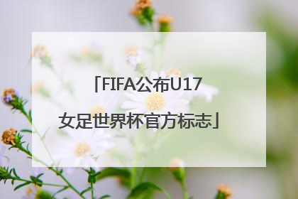 FIFA公布U17女足世界杯官方标志