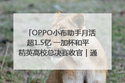 OPPO小布助手月活超1.5亿 一加杯和平精英高校总决赛收官｜通讯Plus·早报