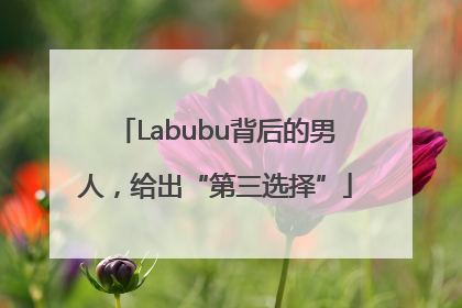 Labubu背后的男人，给出“第三选择”
