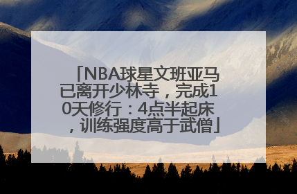 NBA球星文班亚马已离开少林寺，完成10天修行：4点半起床，训练强度高于武僧