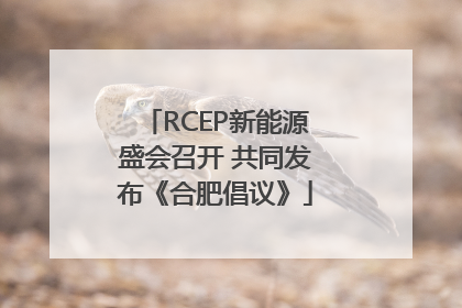 RCEP新能源盛会召开 共同发布《合肥倡议》